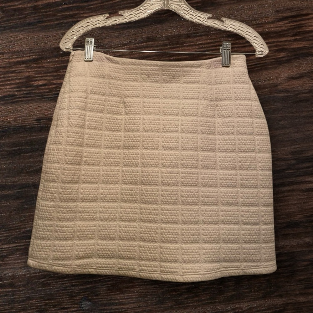 NWT Zara Miniskirt